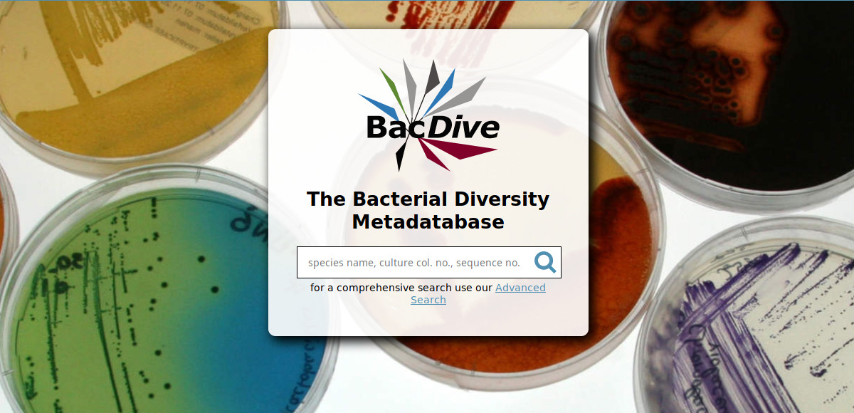 Screenshot der Webseite von BacDive